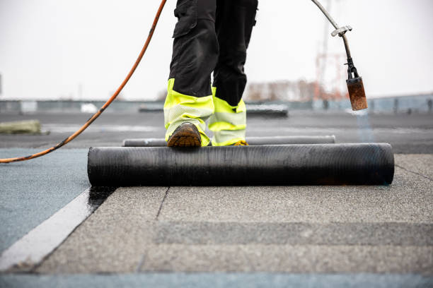 Best Roof Maintenance and Cleaning  in USA